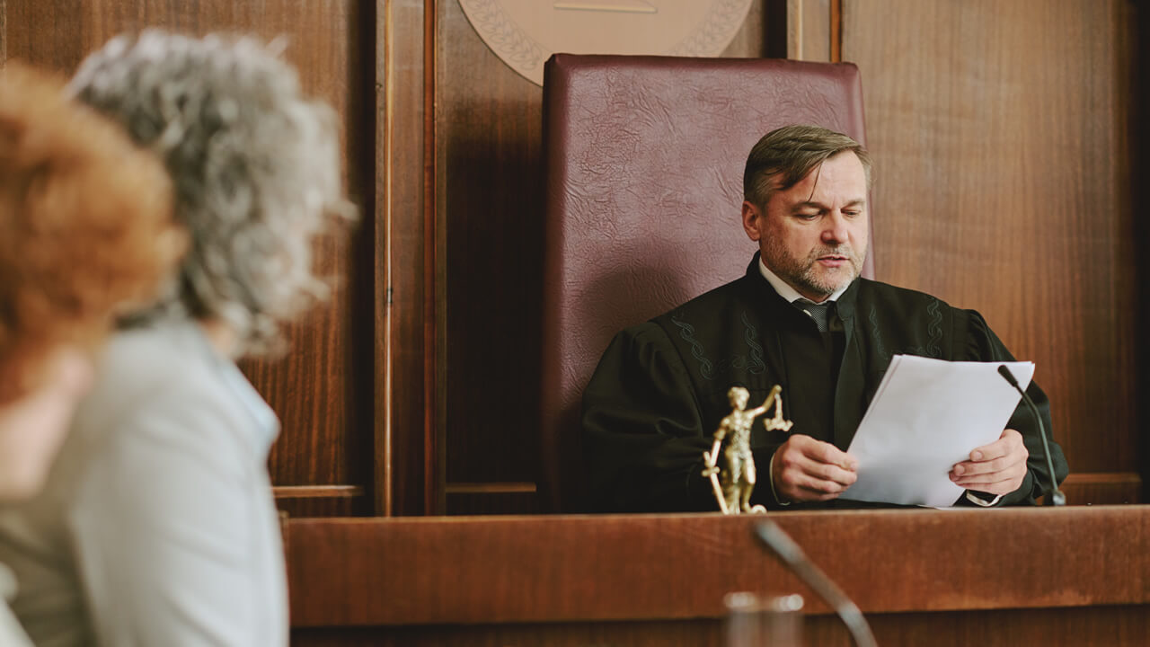 What is a preliminary immigration hearing in Maryland